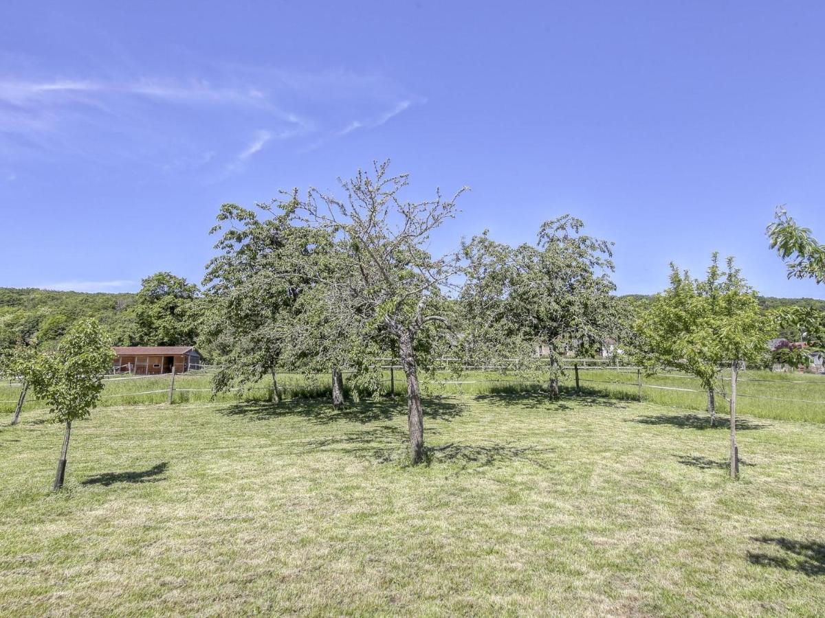 Villa Burgundian Farmhouse In Talon With Fireplace Exterior foto